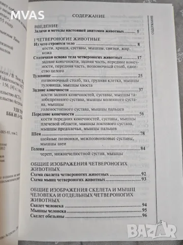 Нова анатомия на животни за художници Рисуване на животни, снимка 3 - Специализирана литература - 49924811