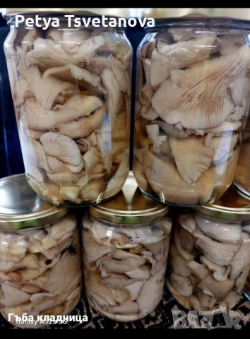 Маринована,бланширана гъба кладница и готови ястия,салати, снимка 2 - Домашни продукти - 52937481