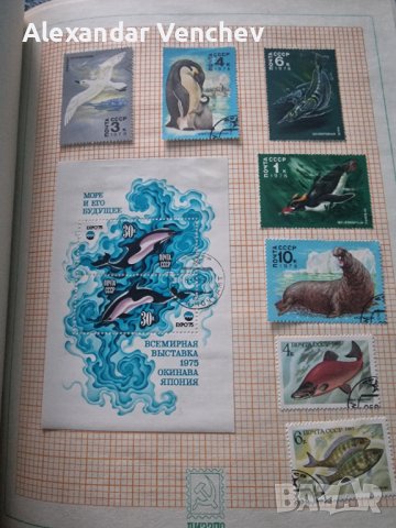 Каталог Съветски марки Флора и Фауна , снимка 9 - Филателия - 44048347