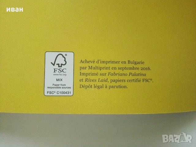 Френски комикс Zaï zaï zaï zaï - От Fabcaro, снимка 9 - Списания и комикси - 28590551