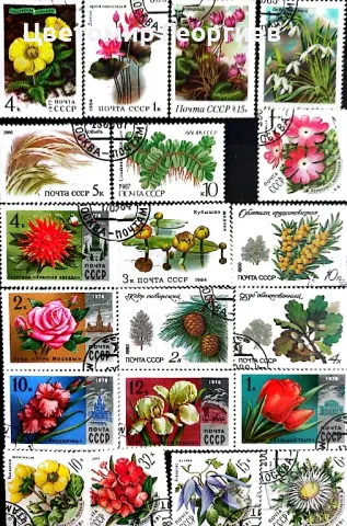 Класьор с марки 215 бр., снимка 9 - Филателия - 48165712