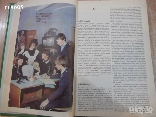 Книга "Энциклопедическ.словарь юного биолога-М.Аспиз"-352стр, снимка 4 - Енциклопедии, справочници - 27406959