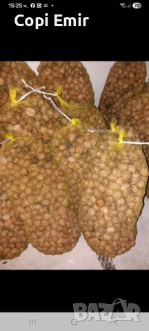 Купувам восък троптина орехи и мотори симсони, снимка 3 - Телфери - 53197461