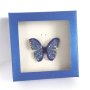 Прелестна брошка Синя пеперуда с блещукащи кристали в подаръчна кутийка, снимка 3