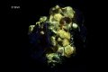Друза от флуоресцентен церусит и барит 188g, снимка 1 - Други ценни предмети - 38376784