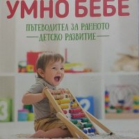 Ива Александрова - Умно бебе. Пътеводител за ранно детско развитие, снимка 1 - Други - 43870857