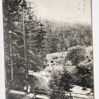 Стара черно-бяла картичка Харц 1913, снимка 1 - Филателия - 44124763