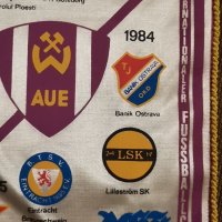 Уникално флагче на Визмут Ауе (Ерцгебирге Ауе ) , снимка 9 - Колекции - 34970188