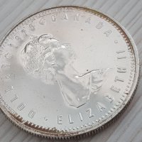 1 сребърен долар 1978 година Канада Елизабет II сребро 2, снимка 6 - Нумизматика и бонистика - 37435642