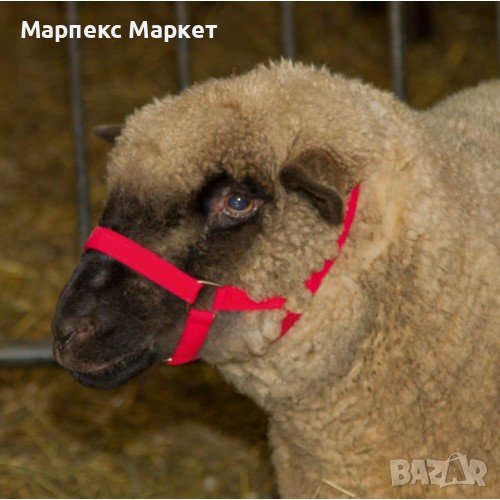 Оглавник за овце / кози - R1, снимка 1