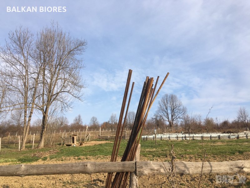 ТЕЧЕН (ОРГАНИЧЕН) БИОТОР, снимка 1