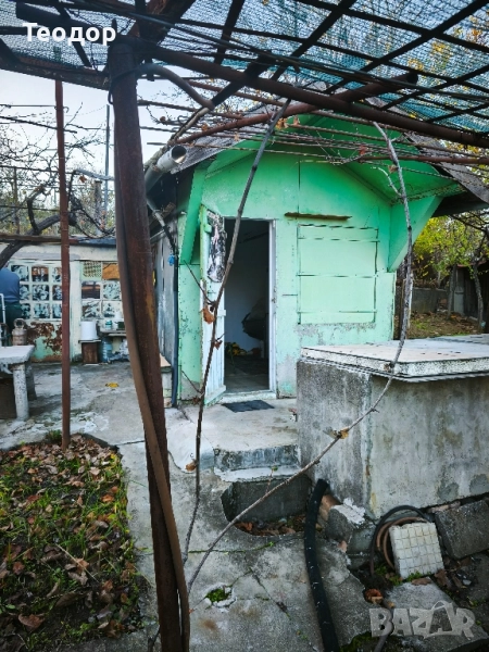 Продавам лозе с постройка, снимка 1