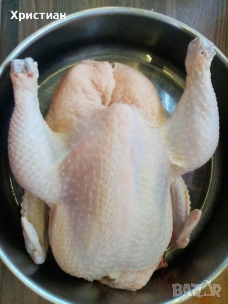 Домашни кокошки и петли бройлери, снимка 1