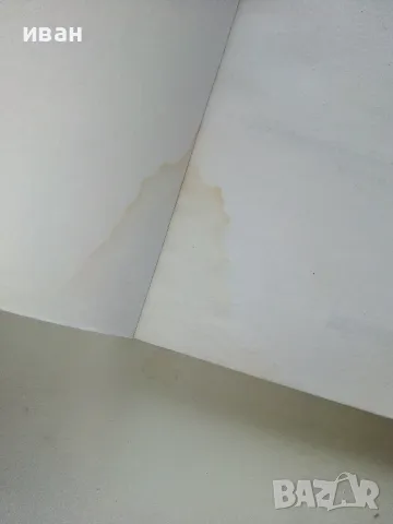 Раджа-Видя Царят на знанието - Шри Шимад - 1999г., снимка 2 - Езотерика - 49149685