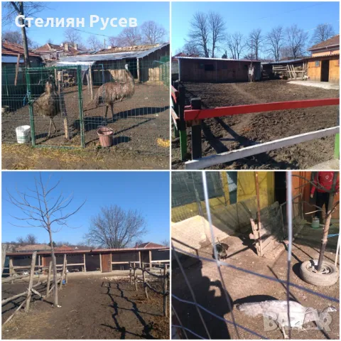 конеферма - разработен бизнес с документи в с. Сребърна, обл. Силистра -цена 67 000лв - СОБСТВЕНИК П, снимка 4 - Други - 49801487