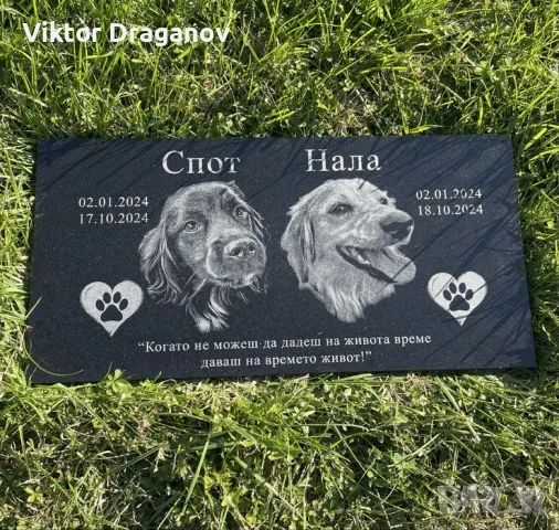 Персонализирана надгробна плоча за домашни любимци със снимка, снимка 2 - За кучета - 44884125