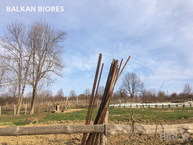 ТЕЧЕН (ОРГАНИЧЕН) БИОТОР, снимка 1