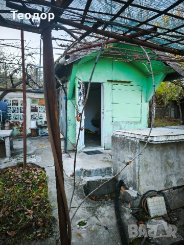 Продавам лозе с постройка