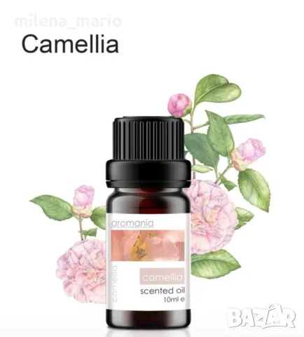 Материали за свещи*соя*цветове*аромати, снимка 6 - Други - 49638139