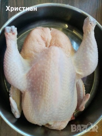 Домашни кокошки и петли бройлери