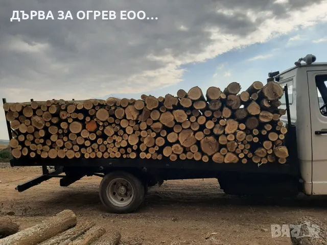 предлагам дърва за огрев метровки акация салкъм 