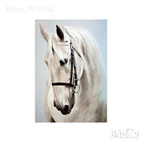 100см Картина-канава "Бял кон"