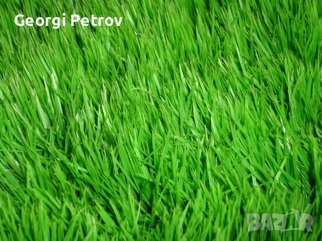 Био Тор за трева - райграс (50л - 12лв), снимка 4 - Тор и почвени смеси - 52102223