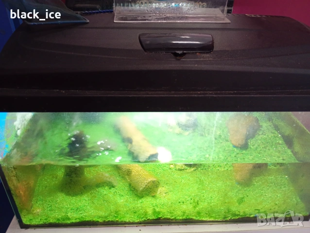 Аквариуми, снимка 4 - Аквариуми - 53203558