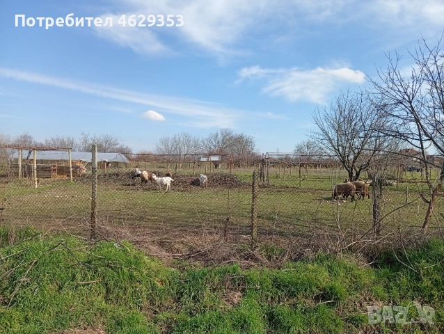 Продажба на имот, снимка 2 - Къщи - 53513958