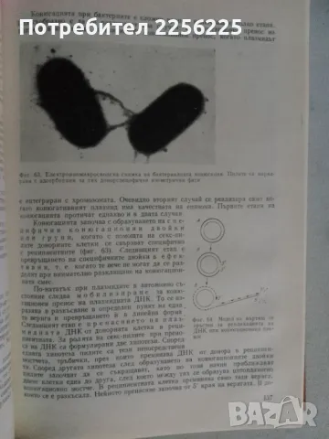 Микро-биология, снимка 3 - Специализирана литература - 47395101
