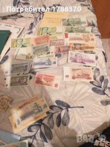 Стари левове