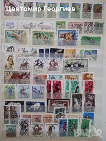 Класьор с марки /животни/ 650 бр ., снимка 12 - Филателия - 53078099