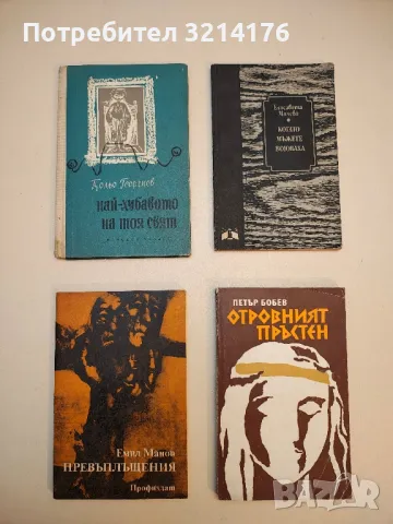 Когато мъжете воюваха - Елисавета Милева