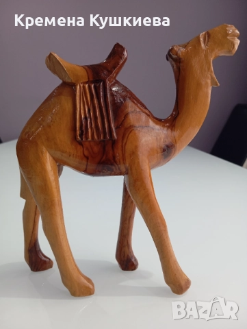 Дървена камила масив