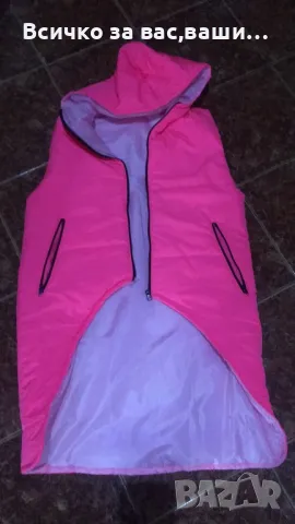 Розов,електрик,шушлеков Елек