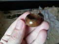 Пръстени от естествени камъни, снимка 6