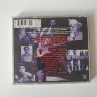 Red Hot Chili Peppers ‎– Out In L.A. cd, снимка 3 - CD дискове - 43330442