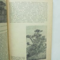 Книга Биогeoграфия на континентите - Пьотр Второв, Николай Дроздов 1978 г., снимка 2 - Други - 40858532