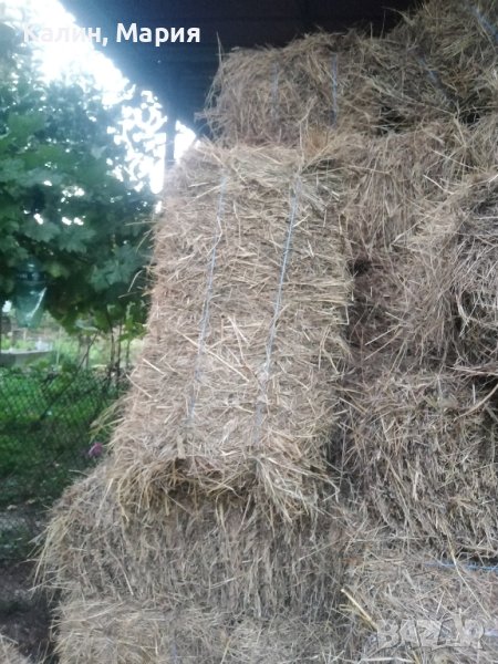 продавам Бали сено цена 8 лв.,бали слама,рола царевичак, снимка 1