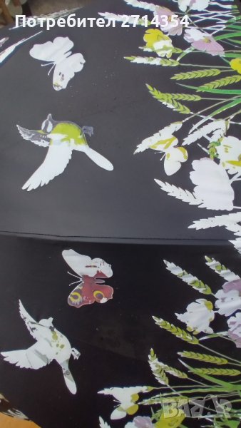 Чадър тип хамелеон , снимка 1