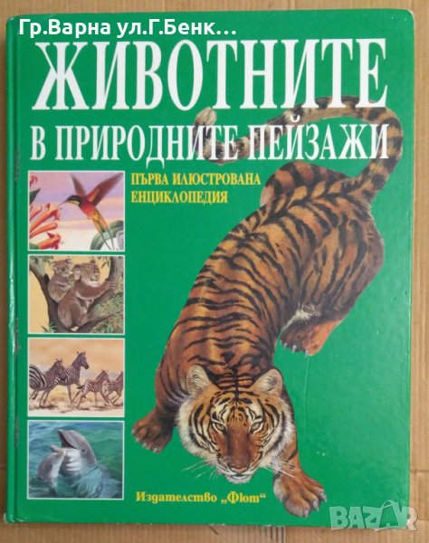 Животните в природните пейзажи "Фют", снимка 1