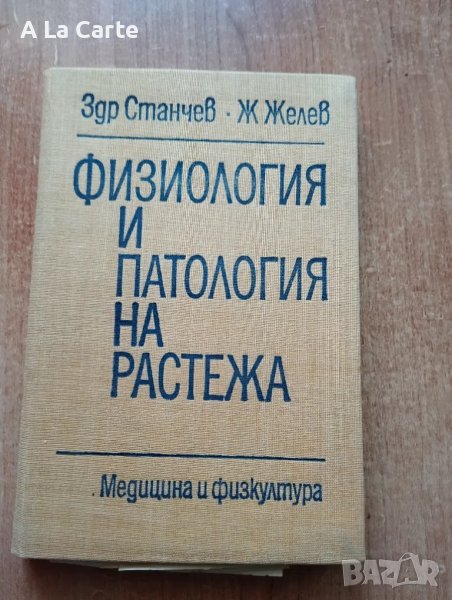 Физиология и патология на растежа , снимка 1