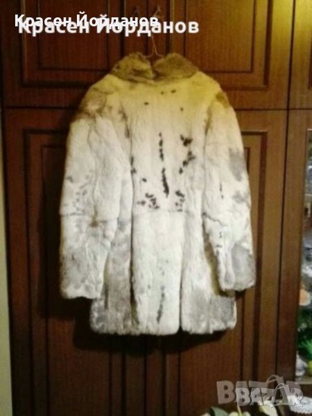 Заешки кожух , снимка 1