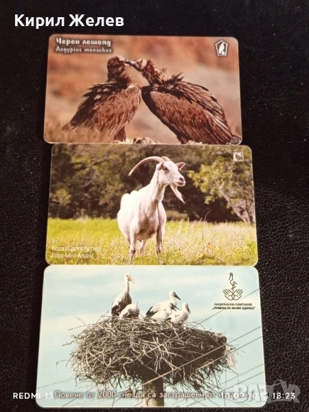 Три фонокарти тема ЖИВОТНИ ЧЕРЕН ЛЕШОЯД, ЩЪРКЕЛИ,КОЗИ за КОЛЕКЦИЯ 21890, снимка 1