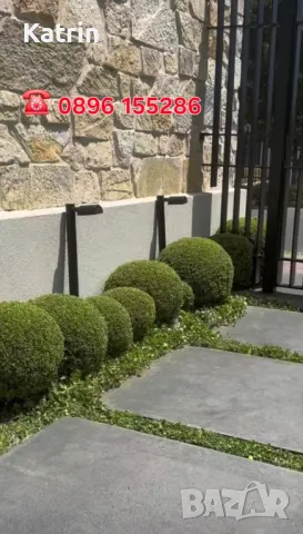 Озеленяване/ Поддръжка , снимка 8 - Други услуги - 48863308