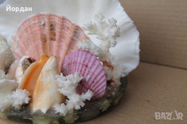 Чудесна нощна лампа, снимка 4 - Настолни лампи - 43534119