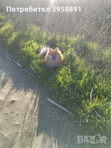 Търсим си партньорка 