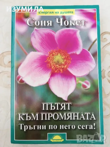 Пътят към промяната. Тръгни по него сега! - Соня Чокет