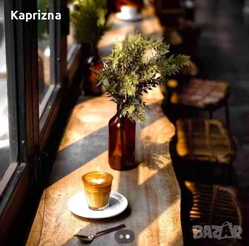 Бодлив залист, снимка 1