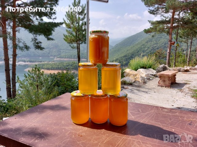 Натурален пчелен мед, снимка 1 - Пчелни продукти - 22628756